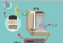 Estudante de RO cria filtro de água com caroço de açaí e ganha intercâmbio para o Egito