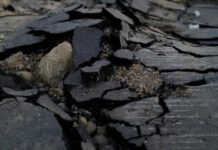 Número de mortos por terremoto na China sobe para 66