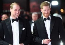 Primo dos príncipes William e Harry tenta unir novamente os irmãos, diz site