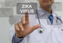 Vacina contra zika tem resultados positivos em camundongos