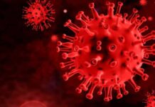 Infecção por Covid-19 faz com que órgãos envelheçam mais rápido