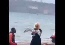 Mulher detida após tentar torcer pescoço de gaivota em Lisboa