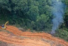 Desmatamento: País tem maior alta de emissão de gases de efeito estufa em 19 anos