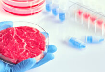 Carne criada em laboratório é segura para comer, diz órgão dos EUA