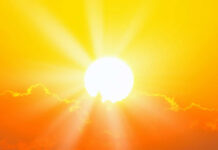 Vitamina D: efeitos da falta e do excesso de Sol na saúde
