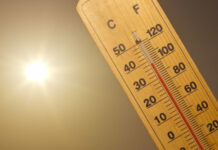 Quase metade dos vertebrados enfrentará calor extremo até o fim do século
