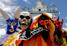 Carnaval do Recife terá mais de 2.800 atrações em 44 pólos da cidade
