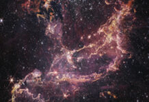 James Webb compartilha fotografia de ‘berçário’ de estrelas