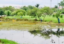Prefeitura de Sorocaba e Saae fazem manutenção preventiva no lago do Parque das Águas