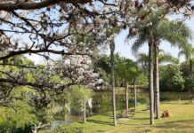 Inscrições para curso de férias “Aquagito” ocorrem a partir desta quarta-feira (11)