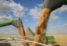 Agronegócio no Brasil dá salto em 20 anos e hoje equivale ao PIB da Argentina