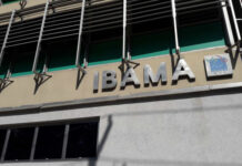 Ibama quer reduzir desmatamento pela metade no primeiro ano do governo lula