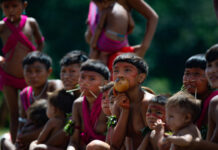 Base aérea de terra Yanomami terá reforma para levar hospital à região