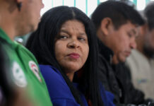 "Não tem água para beber", diz ministra sobre situação dos Yanomami