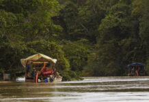 Êxodo de garimpeiros pobres da terra yanomami tem medo da polícia e planos para Guianas