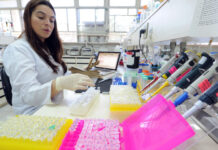 Embrapa testa bioinsumo para aumentar produção de lúpulo no Brasil