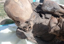 Múmia com mais de 600 anos encontrada em mochila de entregador no Peru
