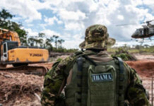 AGU permite ao Ibama cobrar R$ 29 bi em multas barradas pelo governo Bolsonaro