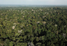 IBGE calcula que território do Brasil é 72,231 km² maior que o estimado anteriormente