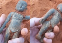 Buda achado por acaso em praia vale pequena fortuna e pode mudar a história