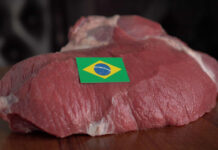 Rússia retira embargo à importação de carne bovina brasileira