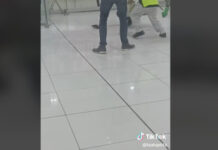 Vídeo mostra perseguição a rato em aeroporto do México