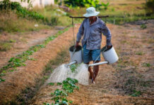 Lula assinou decreto de desconto de 25% a agricultores atingidos por seca no RS