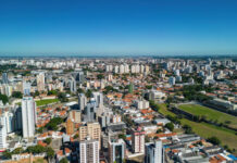 Com 4 mortes e 2 casos suspeitos, Campinas é o principal foco de febre maculosa em SP