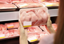 Japão retira embargo à importação de carne de frango de Santa Catarina