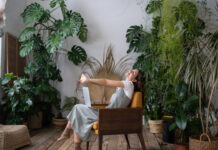 Plantas: decoração e benefícios para a saúde