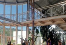 Aula de Yoga no Jardim Botânico de Sorocaba acontece neste sábado (30)
