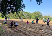 Dia da Árvore é celebrado com plantio de 500 mudas de espécies nativas na Zona Norte de Sorocaba