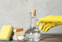 Três formas de usar o vinagre fora da cozinha (e nas limpezas)