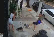 Homem que agrediu irmã de Zanin e cães é indiciado por lesão corporal e maus-tratos a animais