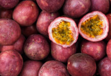 Costuma consumir maracujá? Tem efeito calmante e ajuda a perder peso