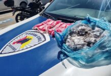 Canil da GCM localiza 1.336 porções de drogas em terreno no bairro Wanel Ville