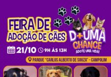 Feira de adoção de cães acontece no Parque do Campolim neste sábado (21)
