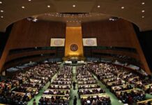 Países africanos defendem reforma do Conselho de Segurança da ONU