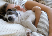 Por que as mulheres dormem melhor com seus cães do que com um parceiro