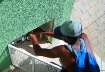GCM detém homem acusado de série de furtos no Centro e na Zona Oeste de Sorocaba