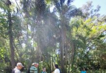 Clube de Jardinagem conhece a produção de mudas de árvores no Horto Municipal de Sorocaba