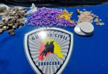 GCM localiza drogas em área verde no Jardim Ipiranga