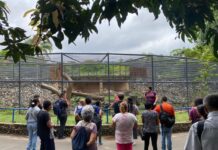 Usuários dos CAPSs realizam passeio ao Zoológico Municipal repleto de alegria e integração