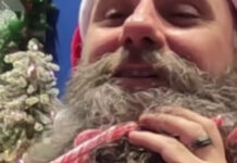 Enfeitar árvore de Natal? Este homem preferiu decorar a barba; veja