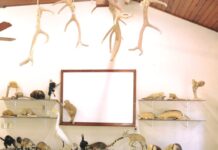 Zoológico Municipal de Sorocaba tem programação especial de férias neste sábado (13)