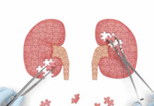 Mitos e verdades sobre a doença renal crônica