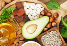 Os alimentos ricos em vitamina E que reforçam o sistema imunológico