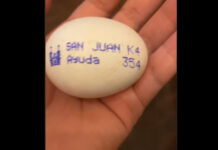 Pedido de "ajuda" em ovo gera reboliço; afinal, era uma mensagem positiva