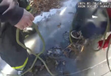Polícia resgata criança presa em lago congelado nos EUA; veja