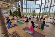 Aula gratuita de Yoga é realizada no Jardim Botânico de Sorocaba neste sábado (27)